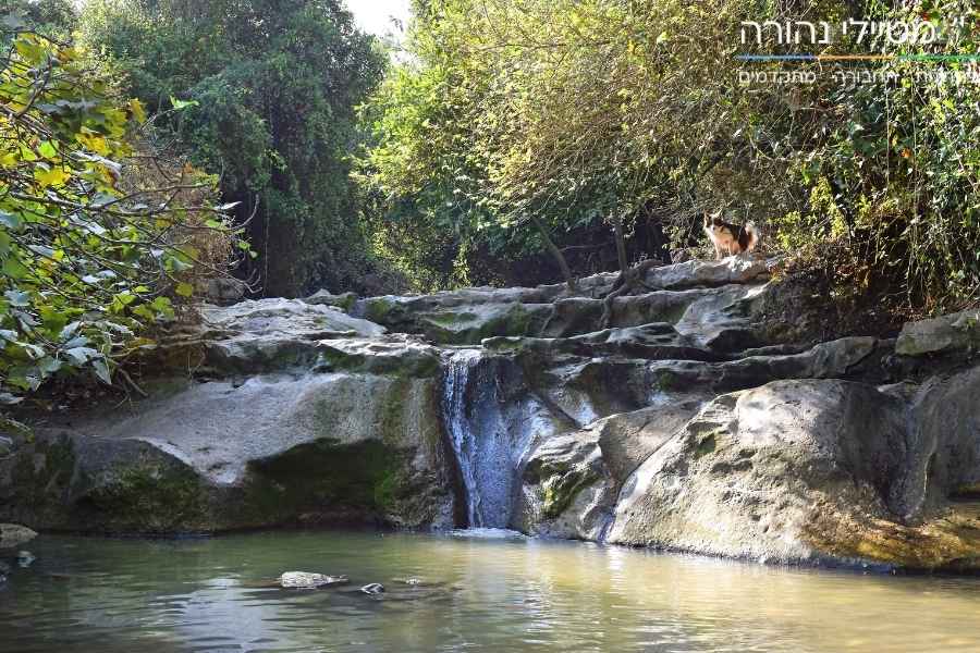 הסעות ביקנעם עם מטיילי נהורה