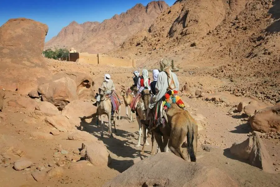 מטיילי נהורה שירות הסעות לסיני